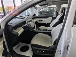 جيتور داشينج